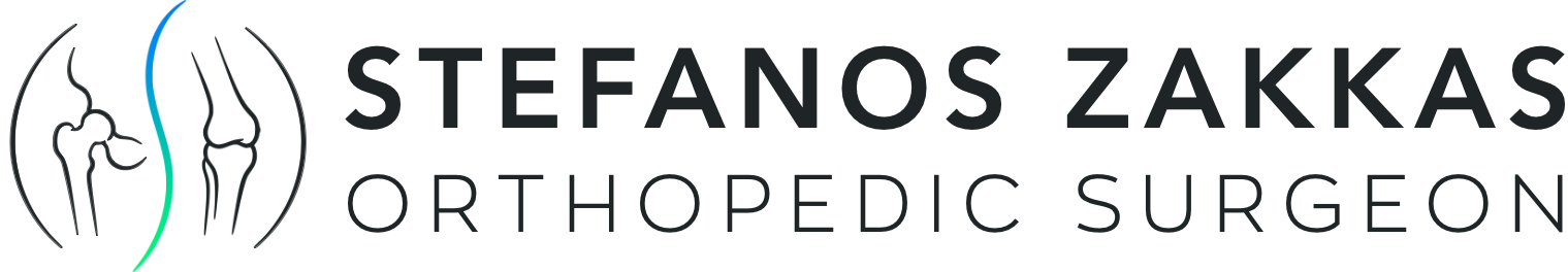 SZ_Site_Logo_1