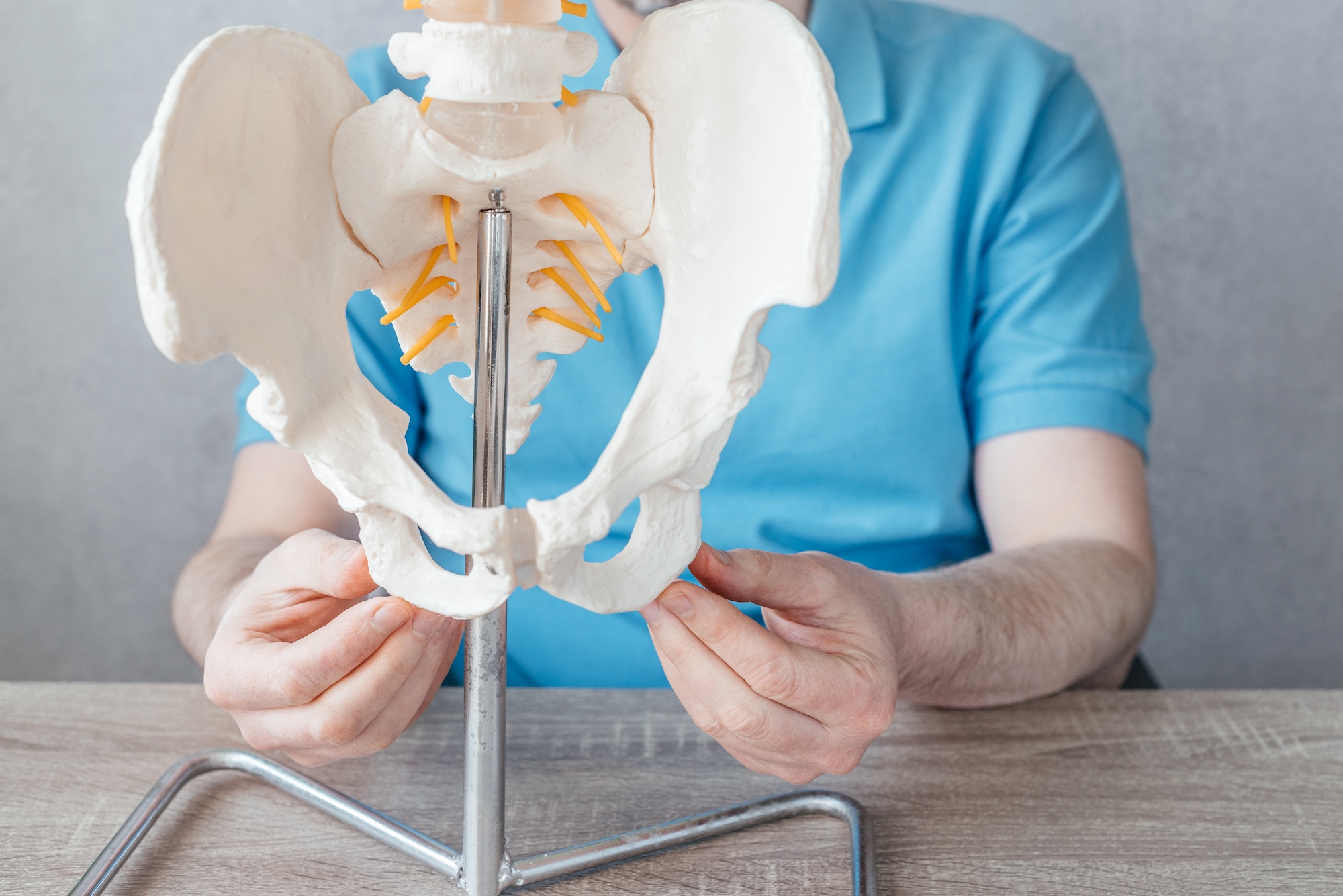 Close up of male doctor's hand showing sacroiliac joint on skeleton spine model